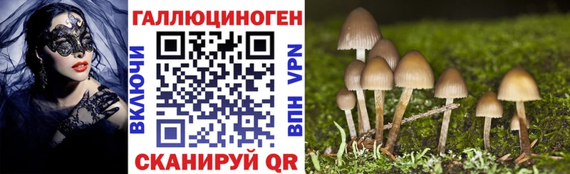 Псилоцибиновые грибы мицелий  Купить где  Городец 