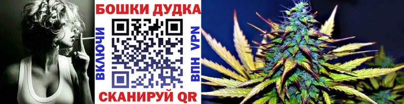 Купить закладки  Городец  Бошки марихуана OG Kush 